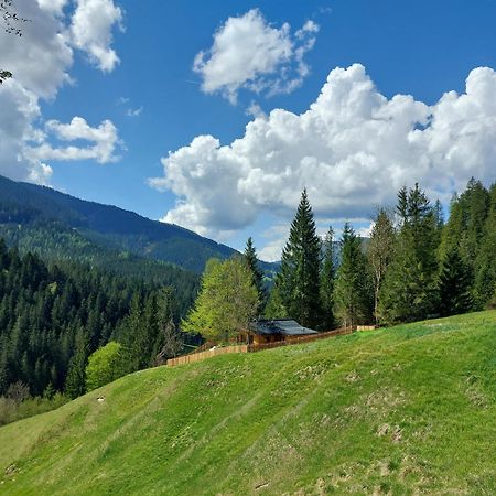 Huette Neuhaus Vila Annaberg im Lammertal Exterior foto