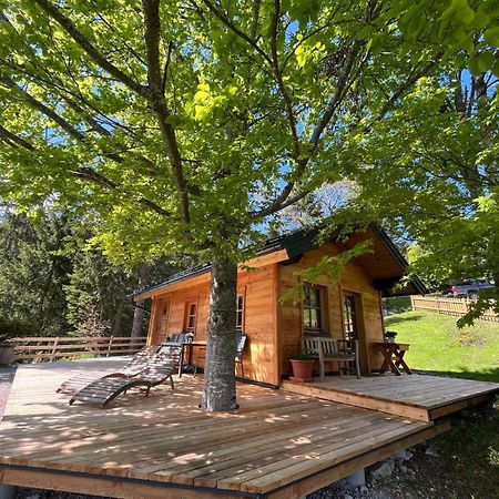 Huette Neuhaus Vila Annaberg im Lammertal Exterior foto
