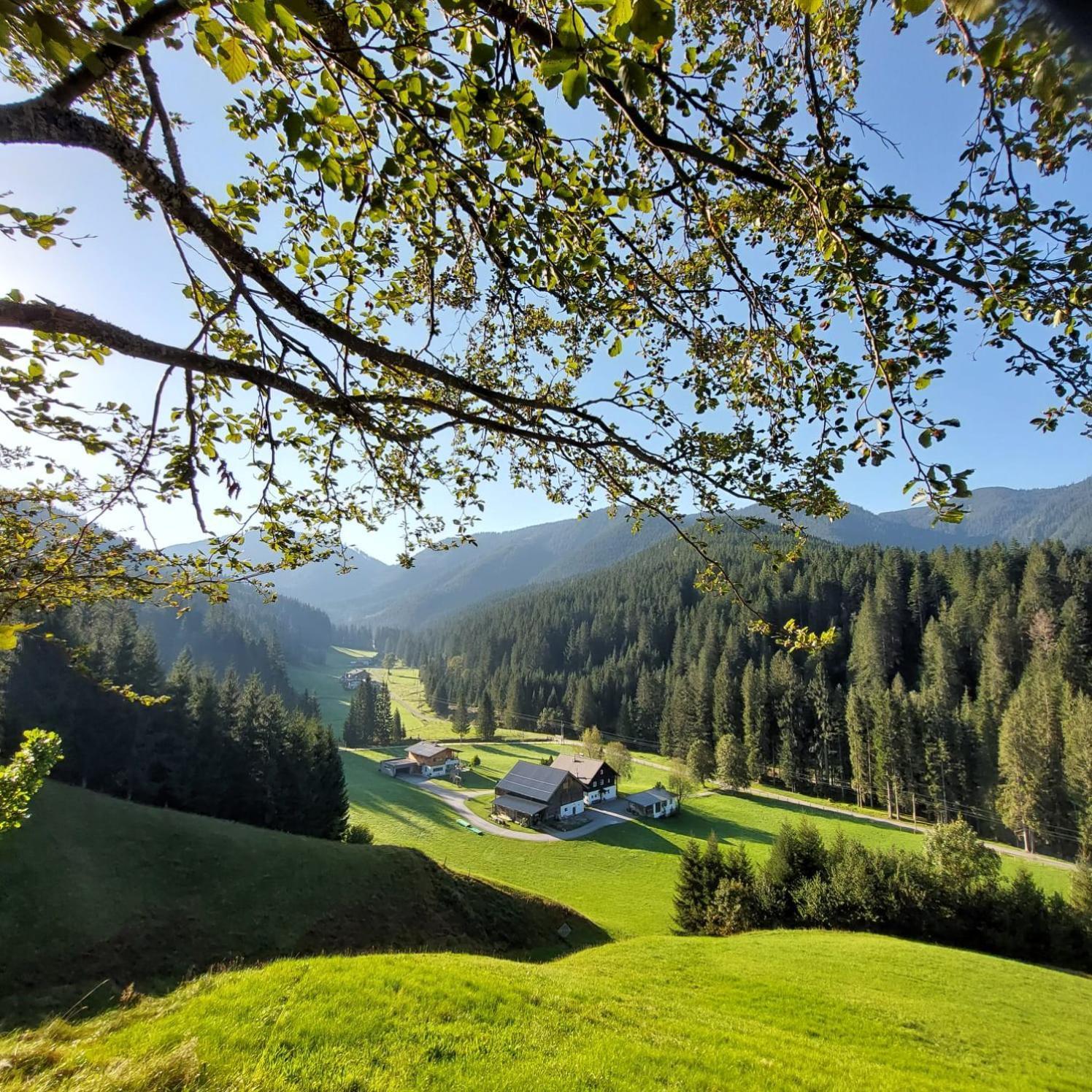 Huette Neuhaus Vila Annaberg im Lammertal Exterior foto