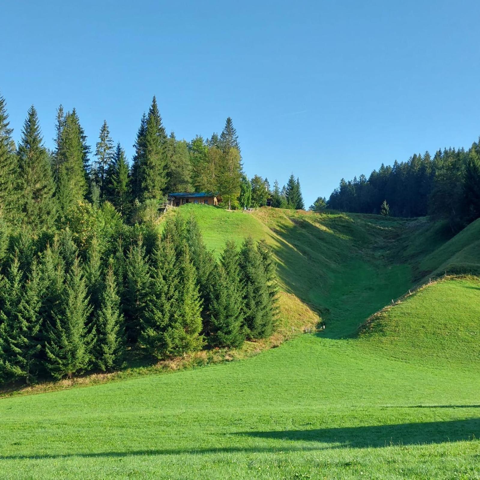 Huette Neuhaus Vila Annaberg im Lammertal Exterior foto