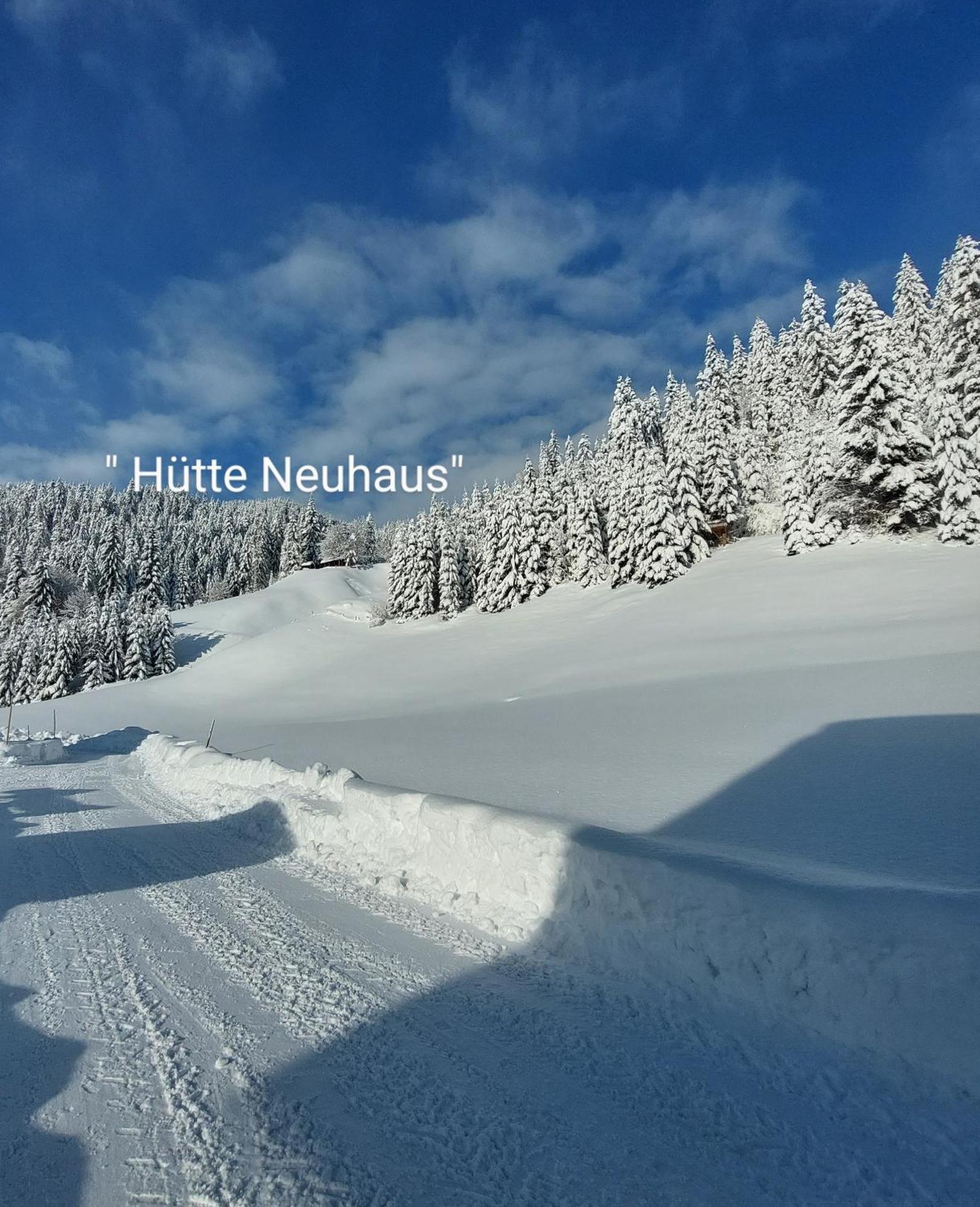 Huette Neuhaus Vila Annaberg im Lammertal Exterior foto