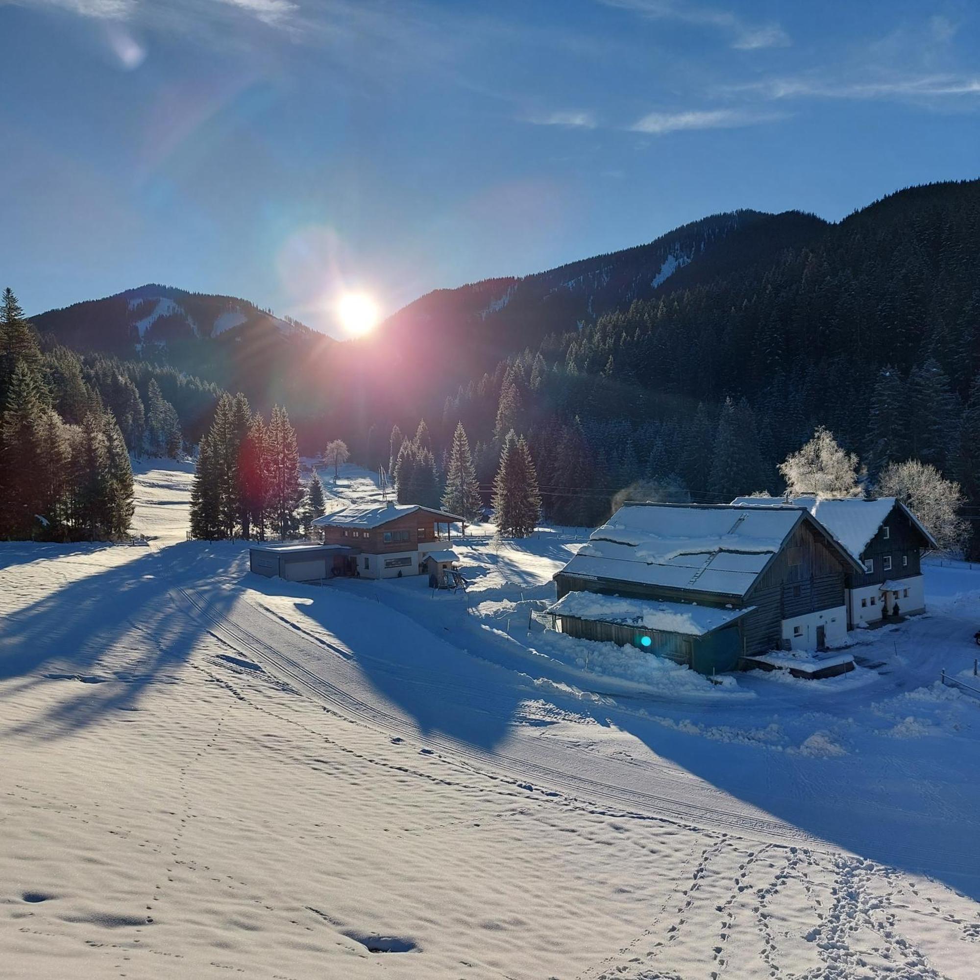 Huette Neuhaus Vila Annaberg im Lammertal Exterior foto