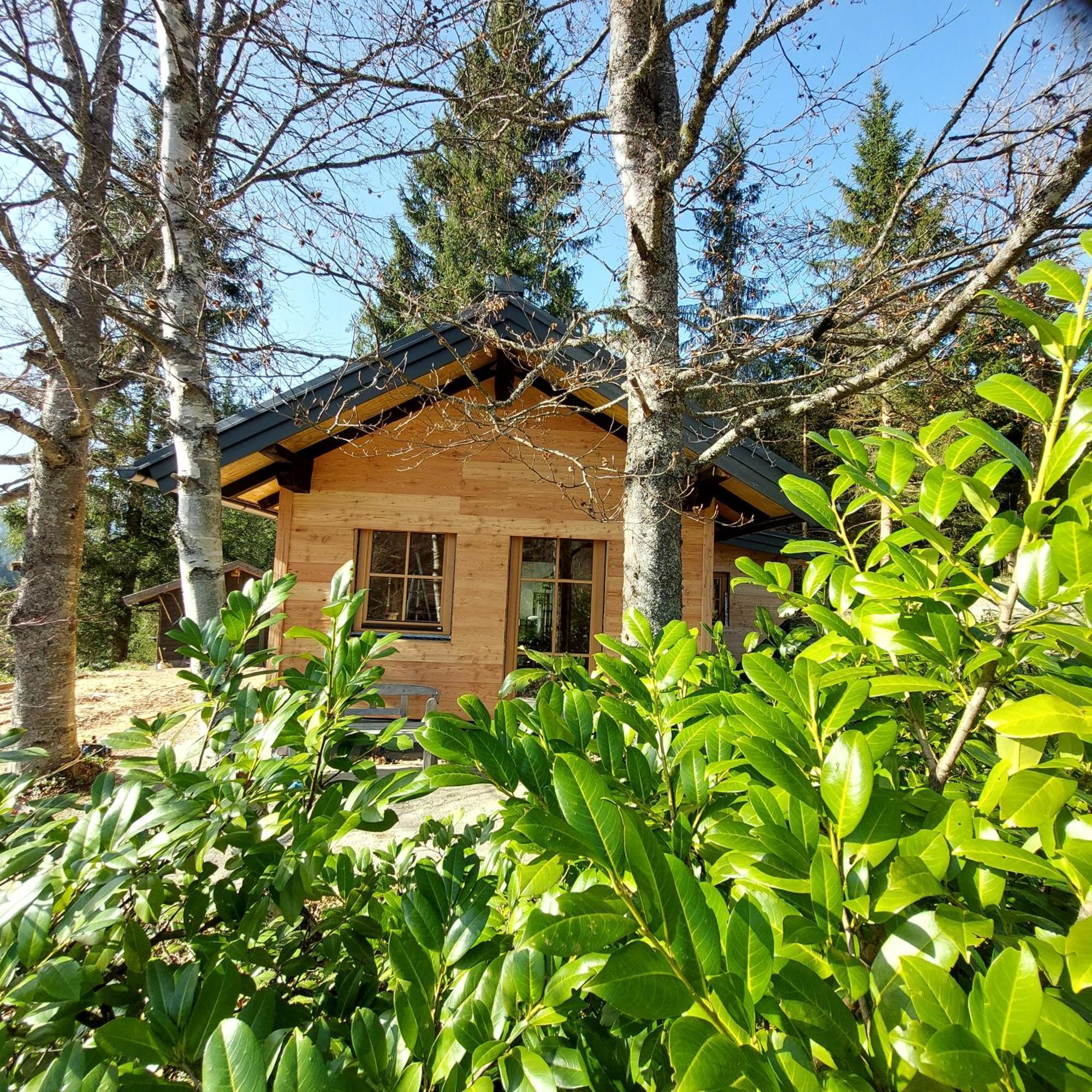 Huette Neuhaus Vila Annaberg im Lammertal Exterior foto