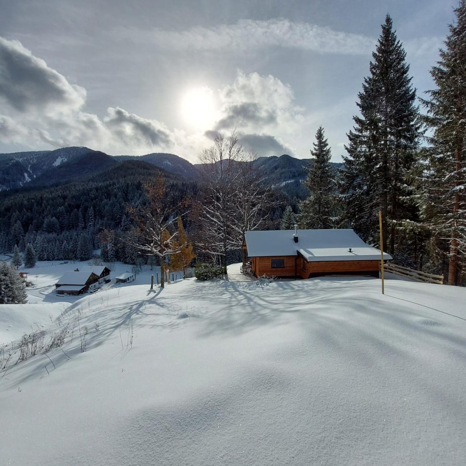 Huette Neuhaus Vila Annaberg im Lammertal Exterior foto