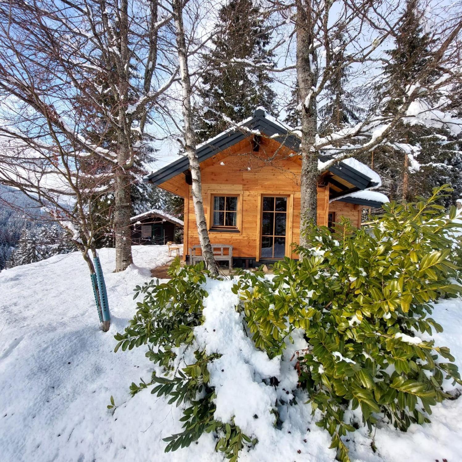 Huette Neuhaus Vila Annaberg im Lammertal Exterior foto
