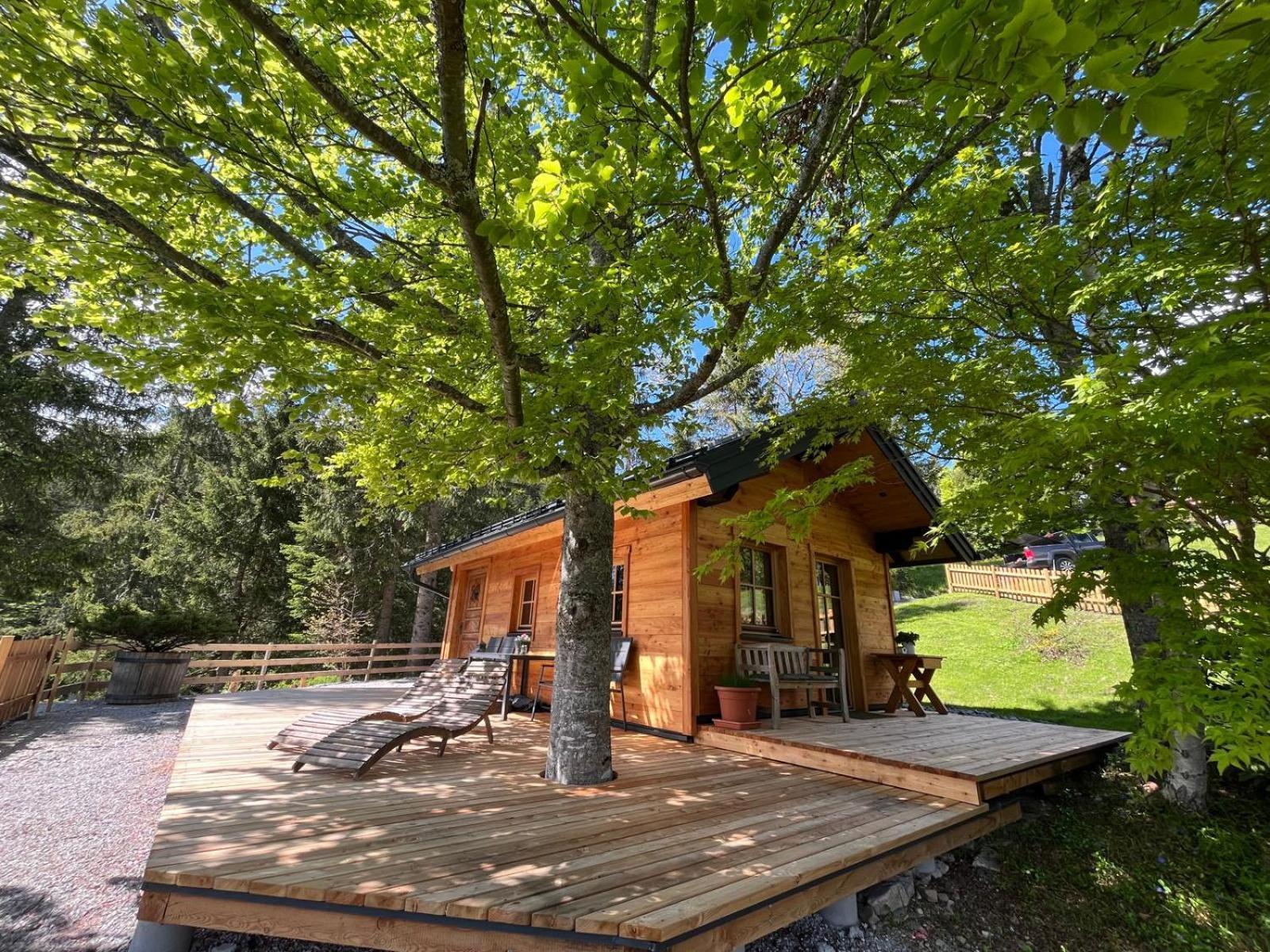 Huette Neuhaus Vila Annaberg im Lammertal Exterior foto